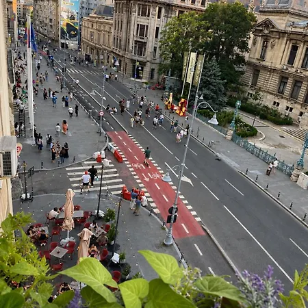 Palace View On Calea Victoriei *