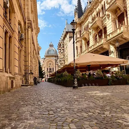 Palace View On Calea Victoriei 아파트 부쿠레슈티